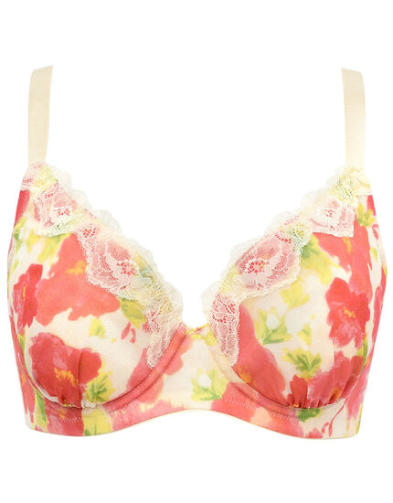 フルカップブラ, , main