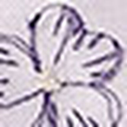 Ｔバックショーツ, , swatch