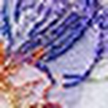 レディスショーツ, , swatch