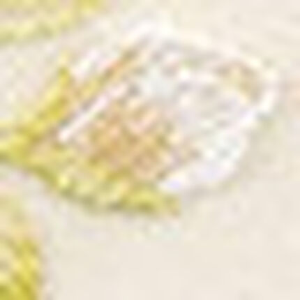 ショーツ, , swatch