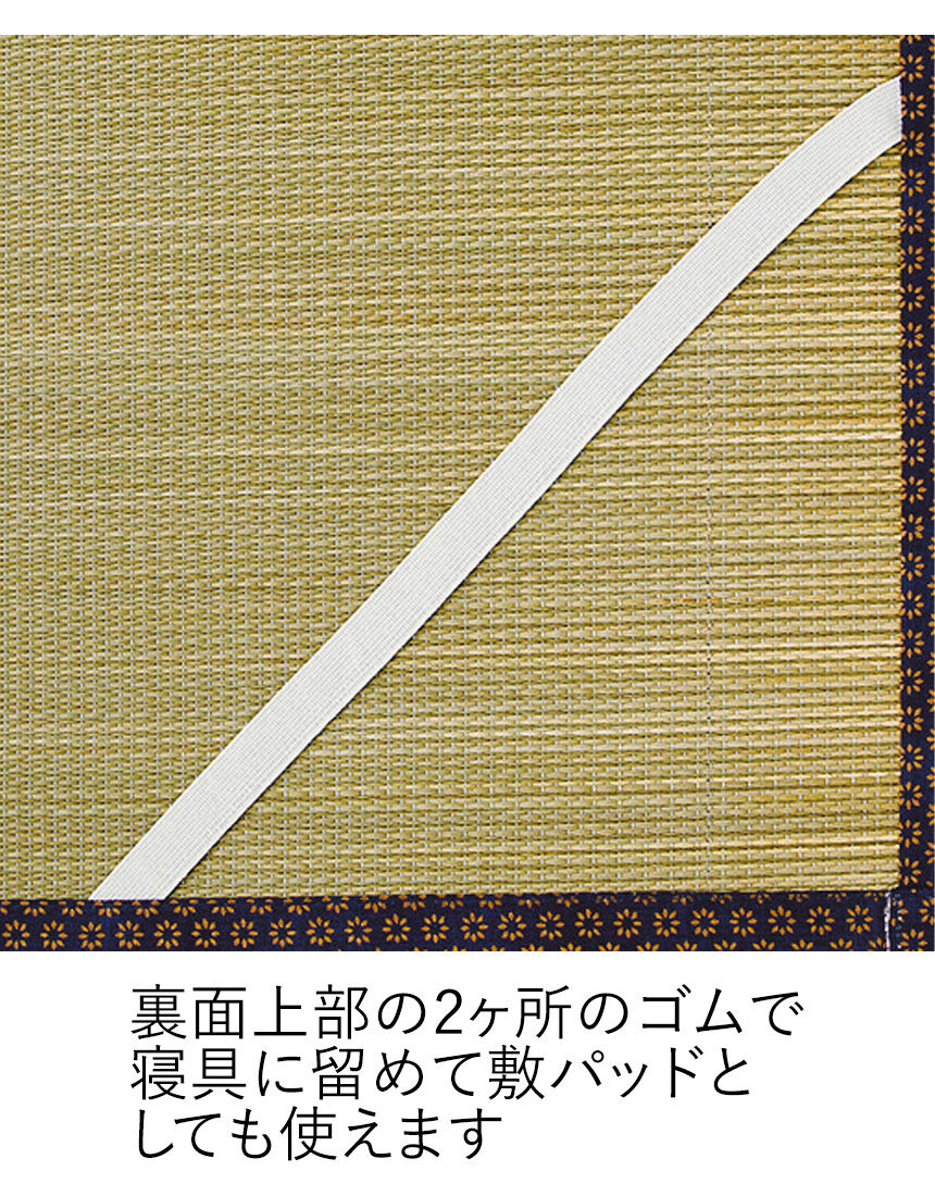 い草　寝ござ（花ことば）, , hi-res