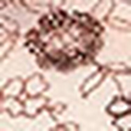 ３／４カップブラ（ノンワイヤーブラ）, , swatch