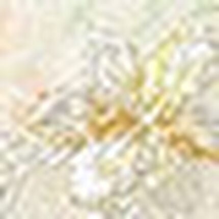 ３／４カップブラ, , swatch