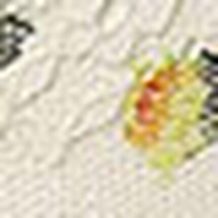 レディスショーツ, , swatch