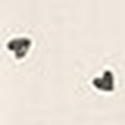 パジャマ, , swatch