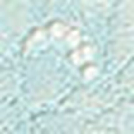 ショーツ, , swatch