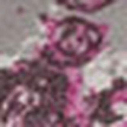 あったかバラ柄プリントトップス, , swatch