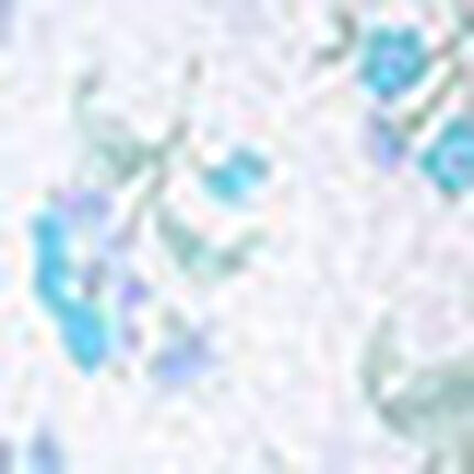 パジャマ, , swatch