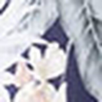 水着（ビキニ　トップ）, , swatch