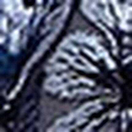 ワイヤーブラ, , swatch