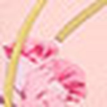 ガードル（ロング丈）, , swatch