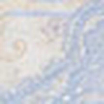 ショーツ, , swatch