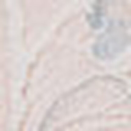 ノンワイヤーブラ, , swatch