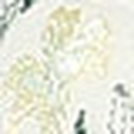 ３／４カップブラ, , swatch