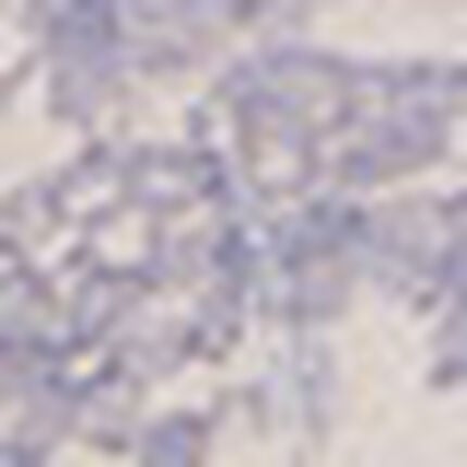 ノンワイヤーブラ, , swatch