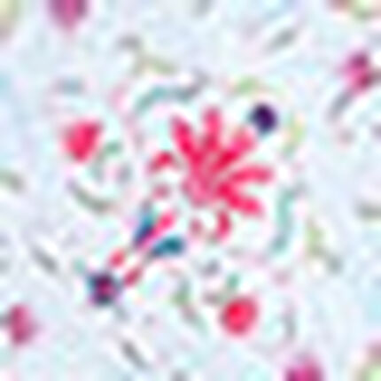 パジャマ, , swatch