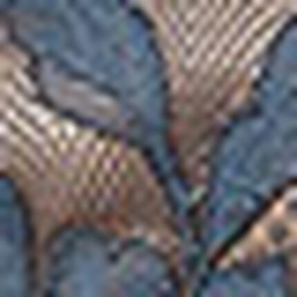 ショーツ, , swatch