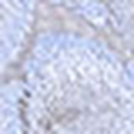 ４／５カップブラ, , swatch