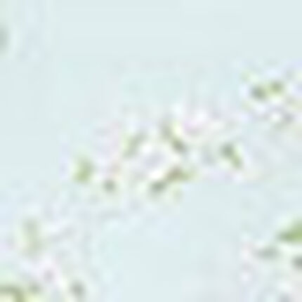 パジャマ, , swatch