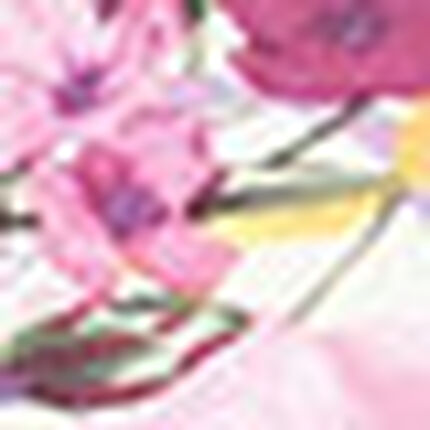 ショーツ, , swatch