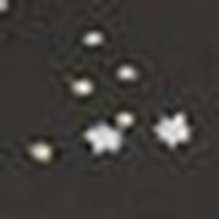 スポーツブラ, , swatch