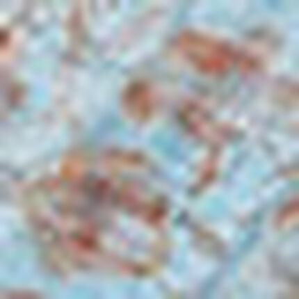 型染めシルクオーガンジーのショール, , swatch