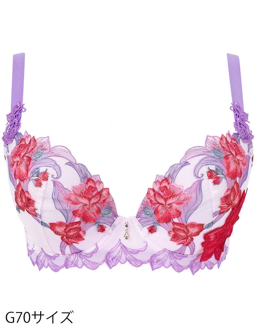 ワイヤーブラ（３／４カップ）, , hi-res