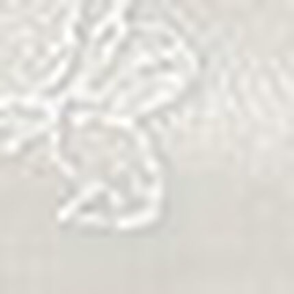 ショーツ, , swatch