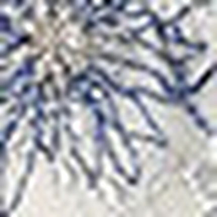 サニタリーショーツ, , swatch