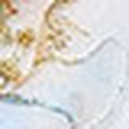 Ｔバックショーツ, , swatch