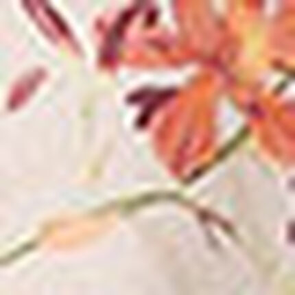 アウター　トップス, , swatch