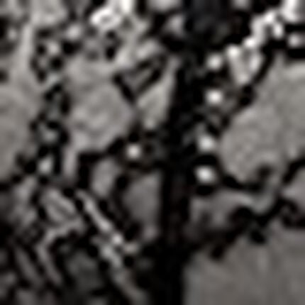 ブラ＆ショーツセット, , swatch