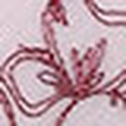 ３／４カップブラ（ノンワイヤーブラ）, , swatch