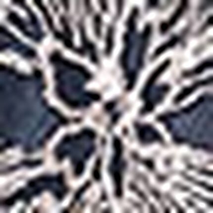 ショーツ, , swatch