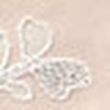 Ｔバックショーツ, , swatch