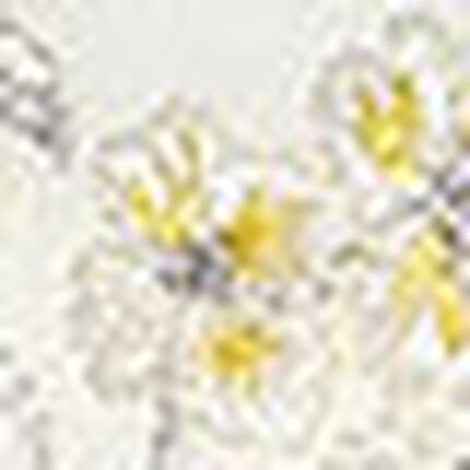 ３／４カップブラ, , swatch