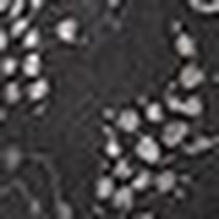 ブラ＆ショーツセット, , swatch