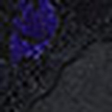 マタニティショーツ（産前・産後）, , swatch