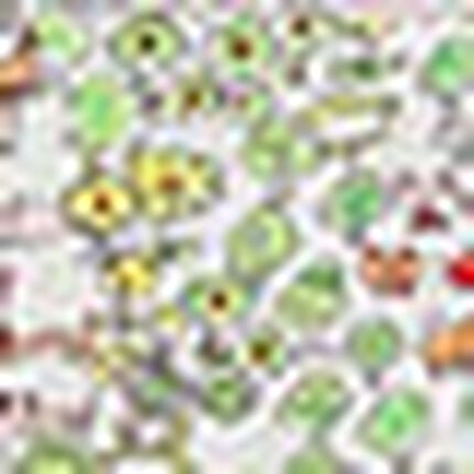 パジャマ, , swatch