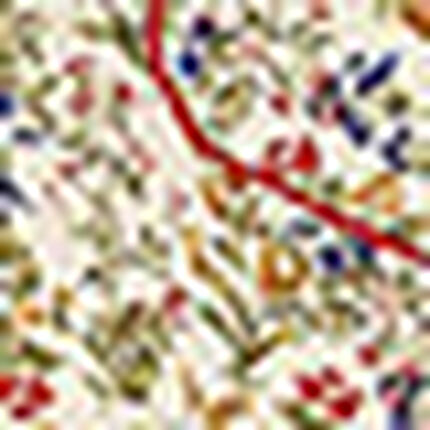 パジャマ, , swatch