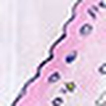 パジャマ, , swatch