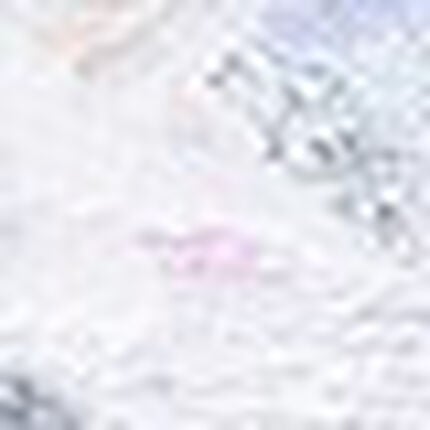 Ｔバックショーツ, , swatch