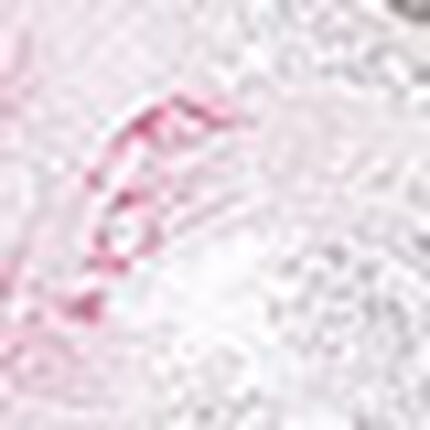 ３／４カップブラ（ノンワイヤーブラ）, , swatch