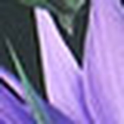 ボクサーパンツ（前閉じ）, , swatch