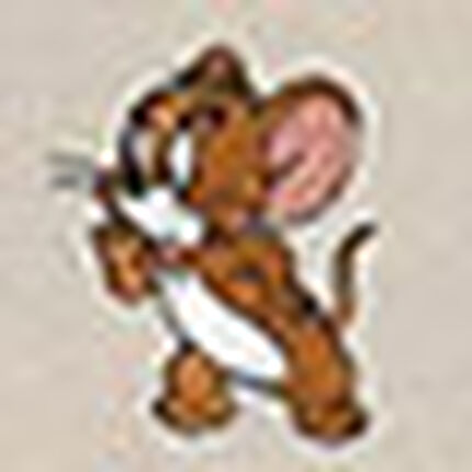 Ｔシャツ, , swatch