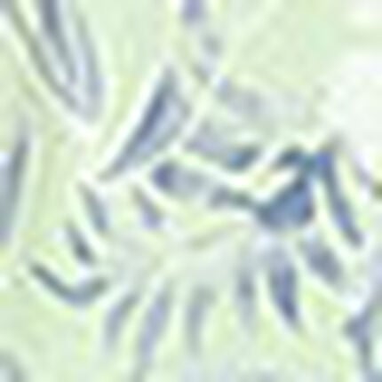 パジャマ, , swatch