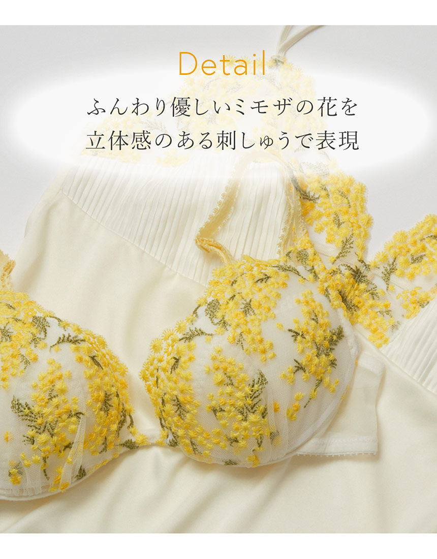 ブラジャー, , hi-res