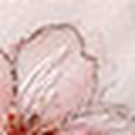 Ｔバックショーツ, , swatch