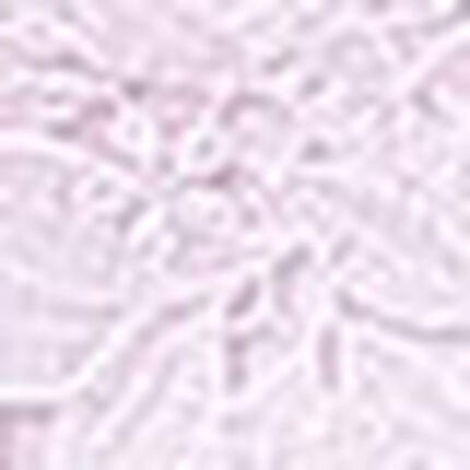 Ｔバックショーツ, , swatch