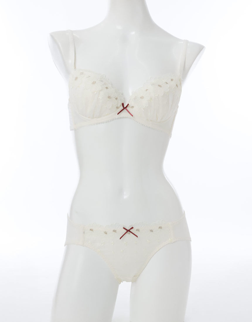 Lingè Noël ランジェノエル フルールアップリケ ブラ＆ショーツセット